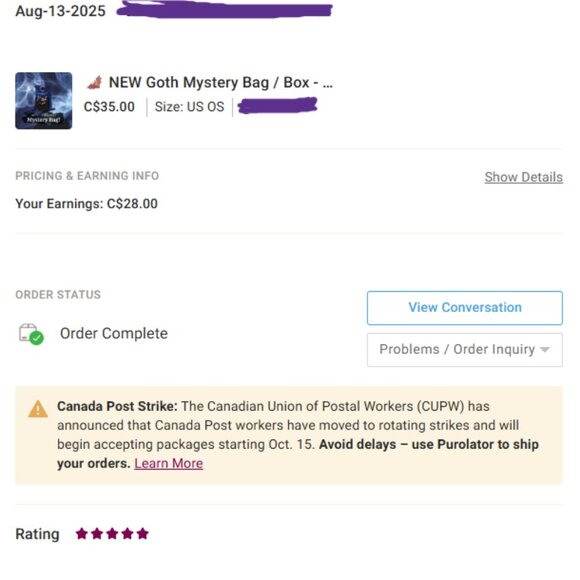 🦇 NEW Goth Mystery Bag / Box - Wednesday Inspired! 🦇 - Picture 5 of 5